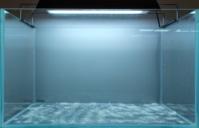 Rozsyp Shoka Bacteria